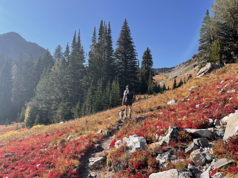 C9BC6BA3-0CA7-4CAC-9F17-8B38D2AD16B6